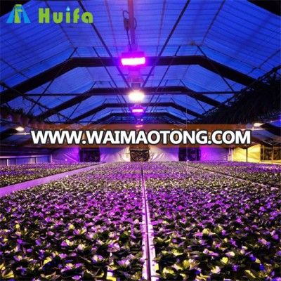 Blackout Greenhouse for Medical Plants with Growing Lights