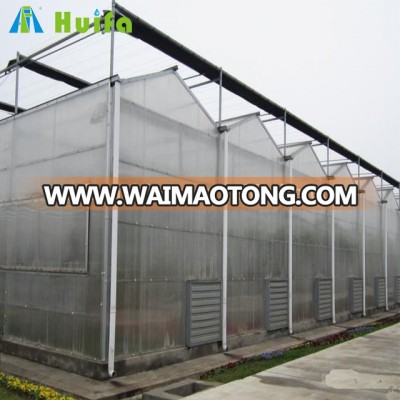 Polycarbonate Sheet Greenhouse with UV and Side Ventilation