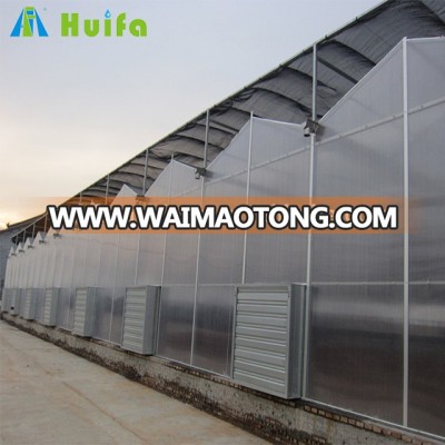 High Quality Polycarbonate Board Multi-span Greenhouse For Vegetable