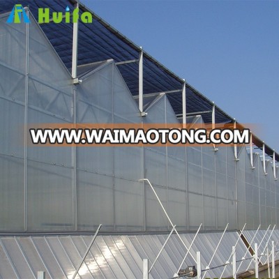 PC Sheets Type Multi Span Agricultural Green house for sale