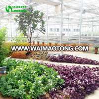 Low Cost Eco Agricultural Sightseeing Greenhouse For Sale