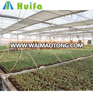 Low cost agricultural greenhouse/invernadero for sale